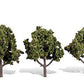 4 - 5 In Sun Kissed Trees