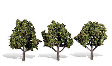 4 - 5 In Sun Kissed Trees