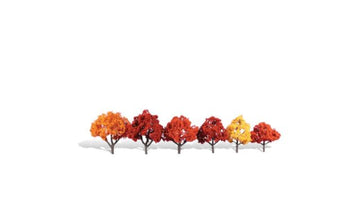 3 - 5 In Harvest Blaze Tree