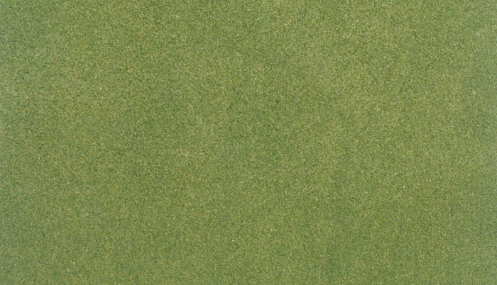 Spring Grass Sheet