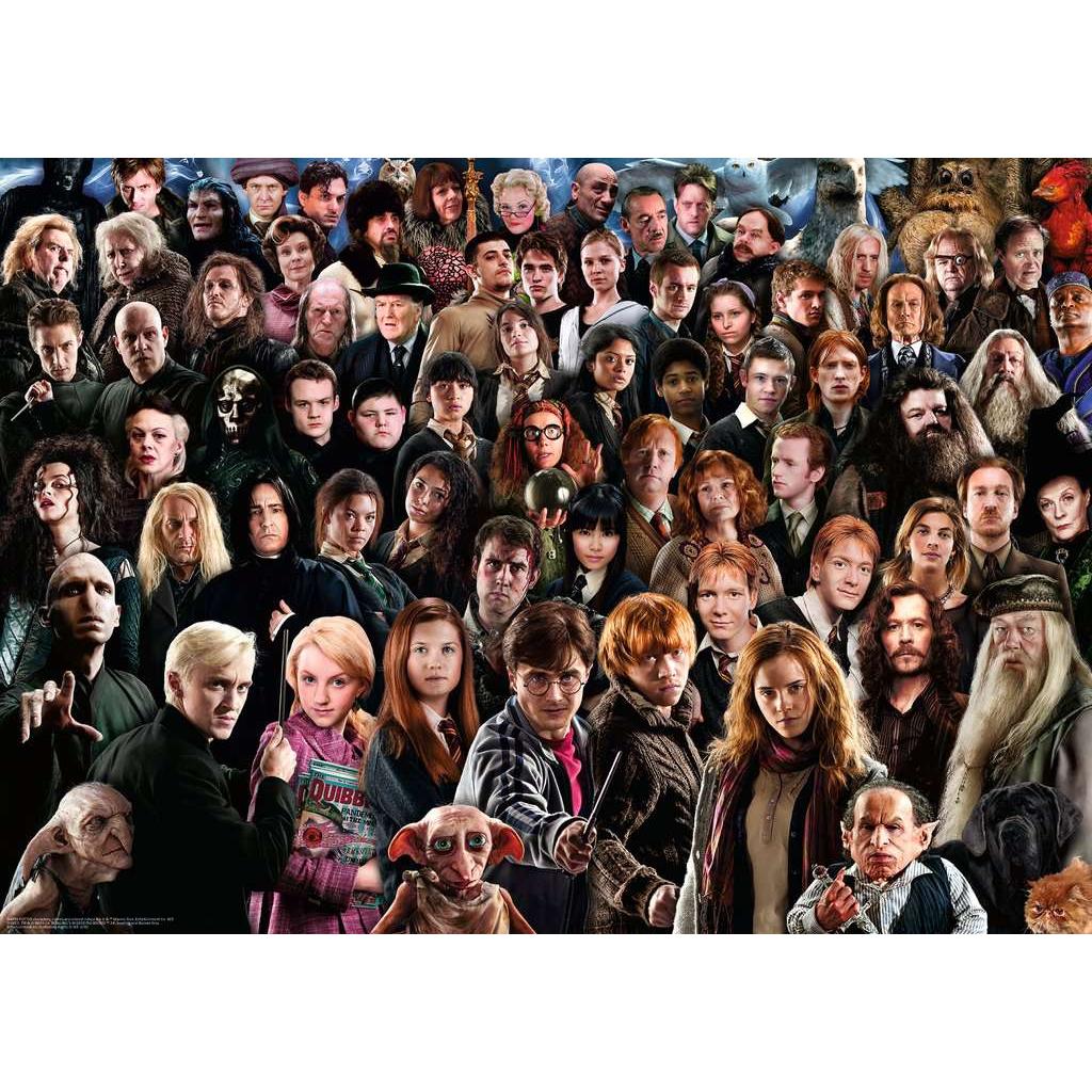 Harry Potter Collage Challenge 1000 Piece Jigsaw Puzzle Ravensburger