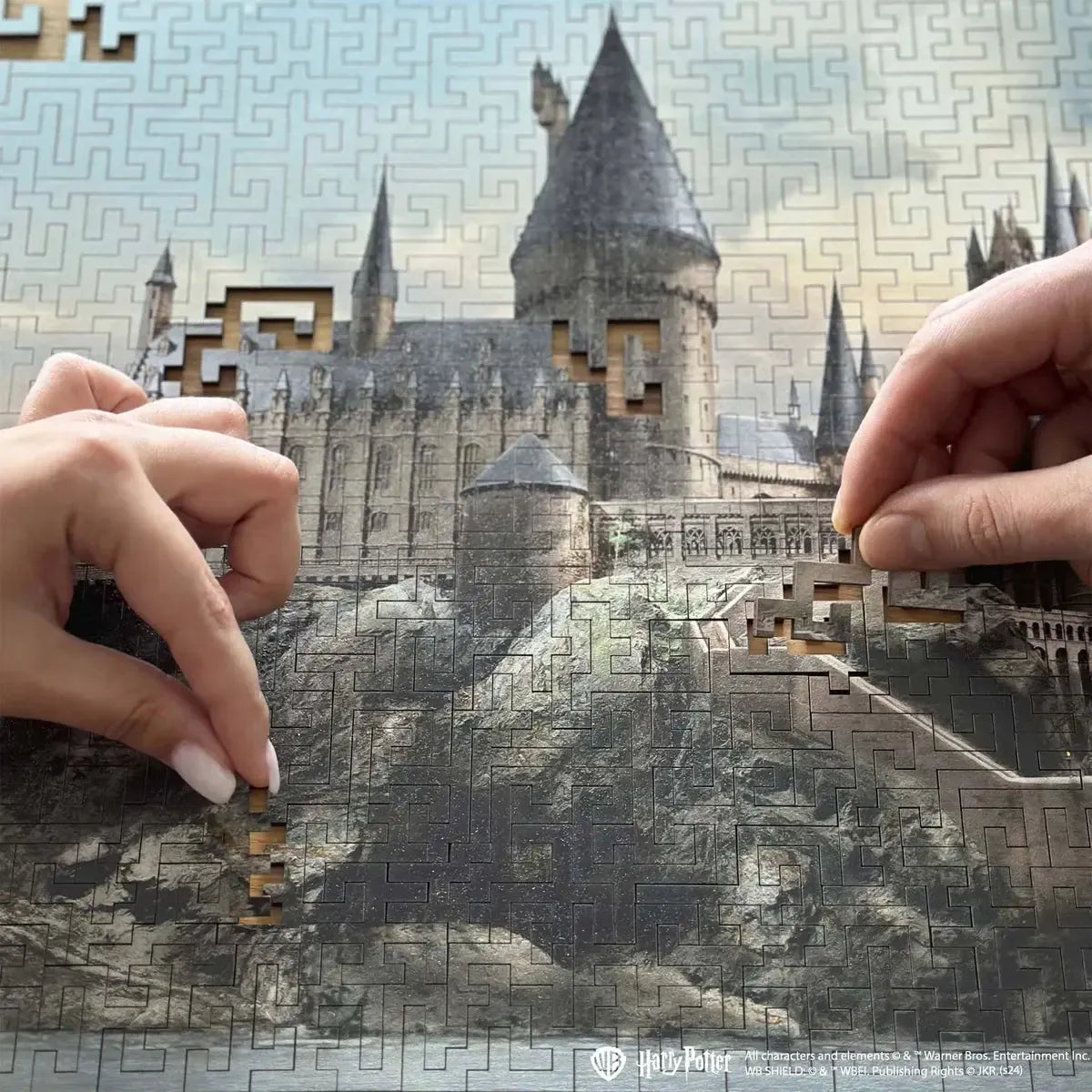 Harry Potter Hogwarts Castle Wooden Jigsaw "Maze" Puzzle Woods Story