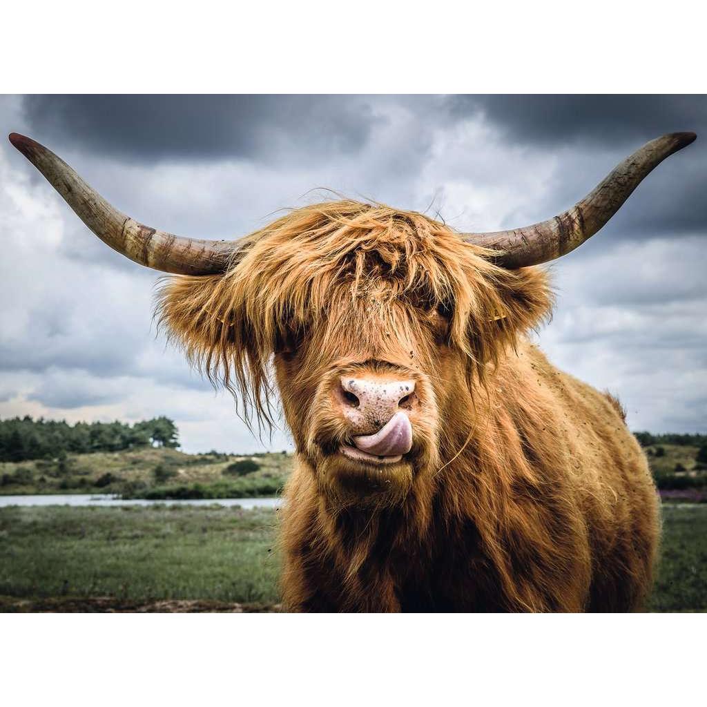 Highland Cattle 300 Piece Jigsaw Puzzle Ravensburger