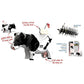 Holstein 3D Cardboard Model Kit Eugy