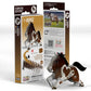 Horse 3D Cardboard Model Kit Eugy