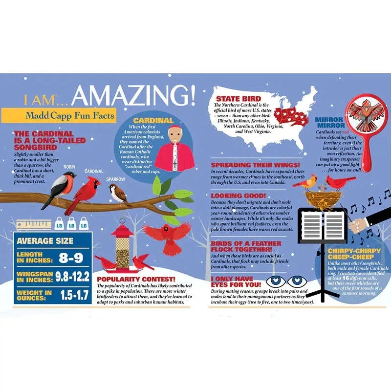 I Am Cardinal 300 Piece Bird Shaped Jigsaw Puzzle Madd Capp