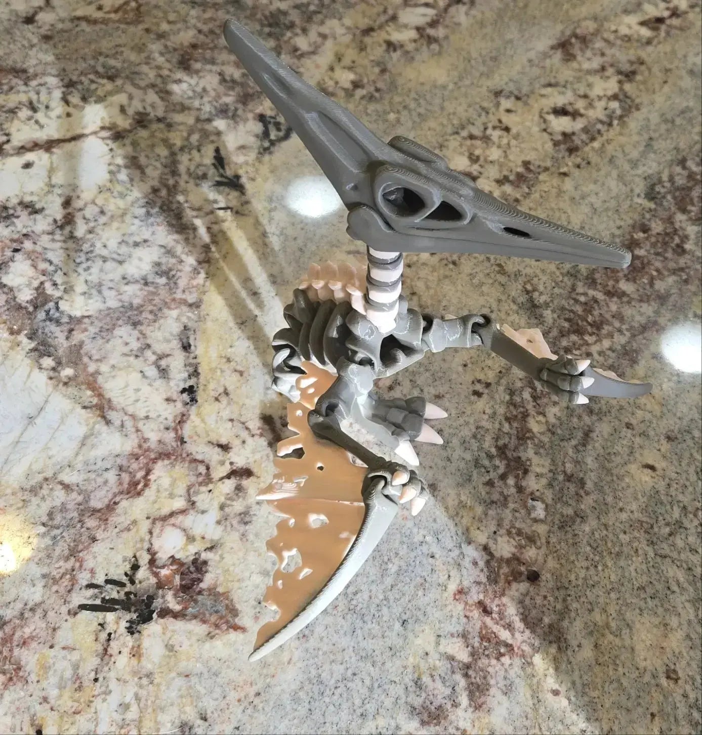 Articulated Skeleton Pterodactyl (XL Adult)