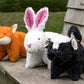 Squooshie™ Bunny Plush Dog Toy