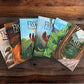 COLLECTION: First Six “Frog” Books & Organic Cotton Frog Plushie