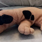 Pound Puppies Plush - Brown Spotted Dog