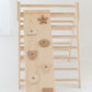 Shape/ramp/slide