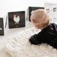 Black and White Contrast Book