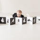 Black and White Contrast Book