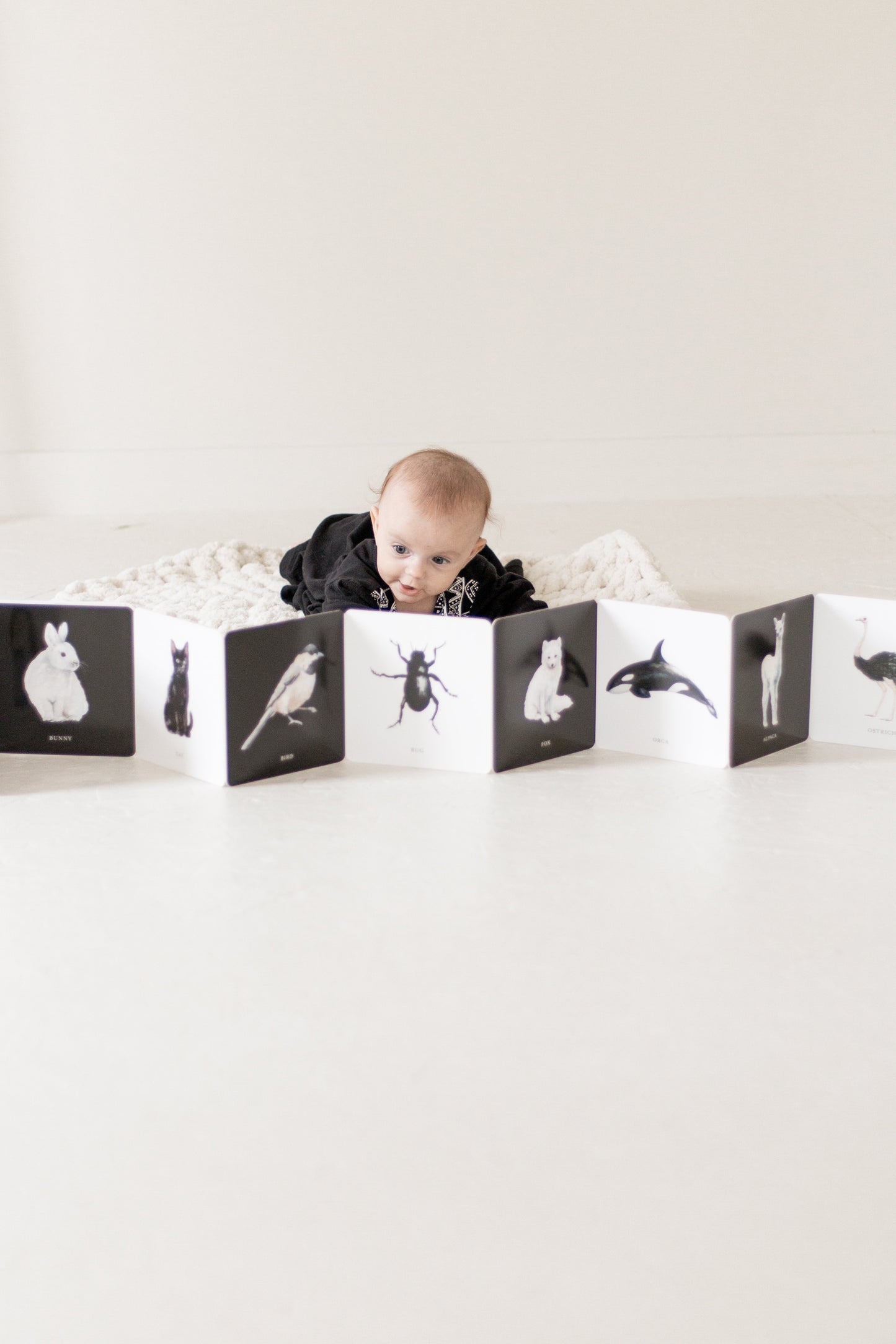 Black and White Contrast Book