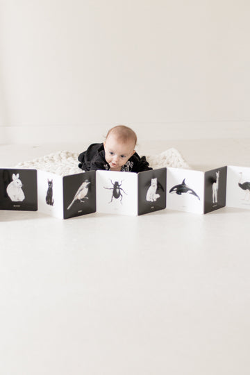 Black and White Contrast Book