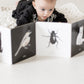 Black and White Contrast Book