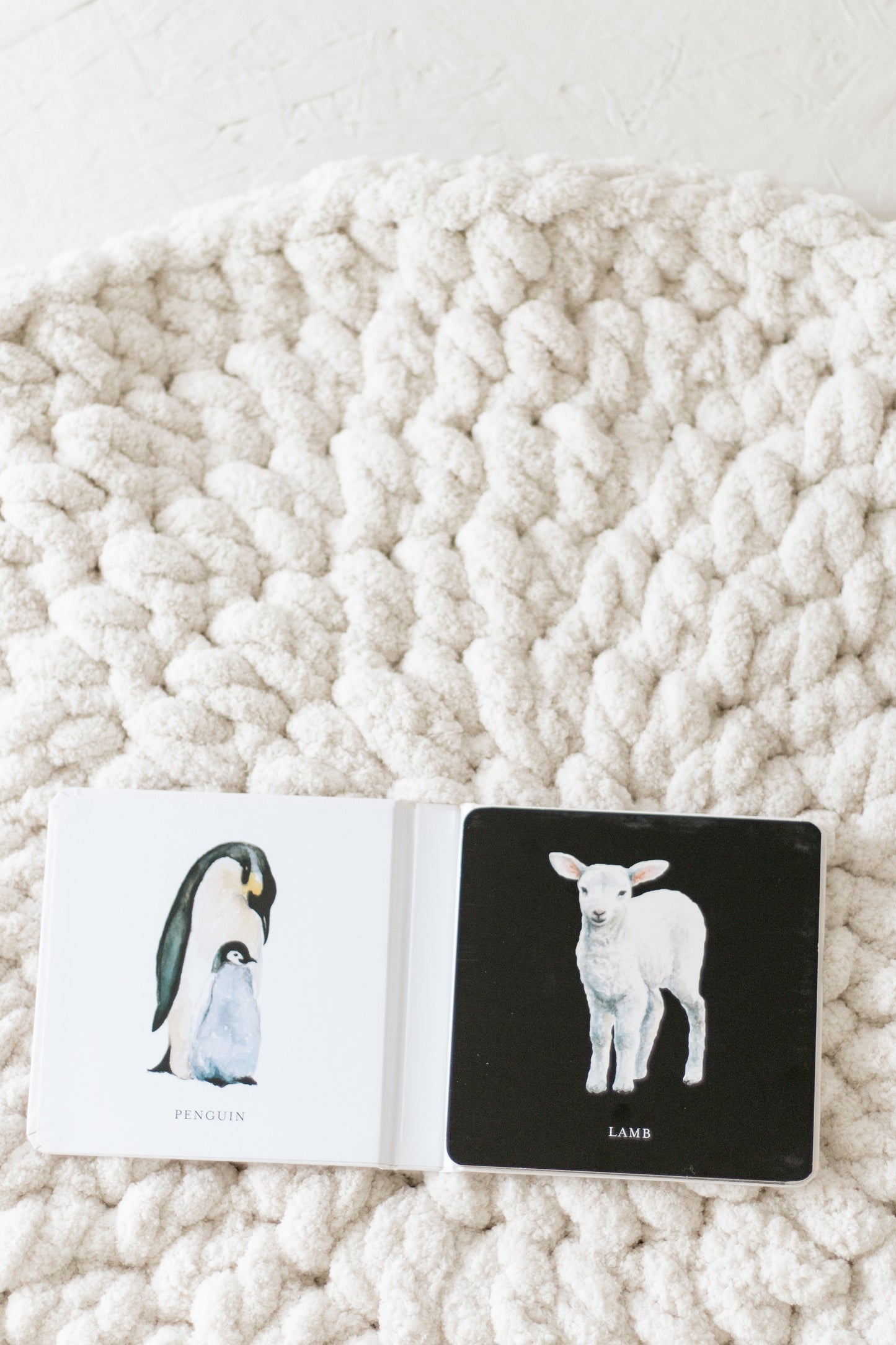 Black and White Contrast Book