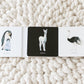 Black and White Contrast Book