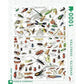 Insects 1000 Piece Jigsaw Puzzle NYPC
