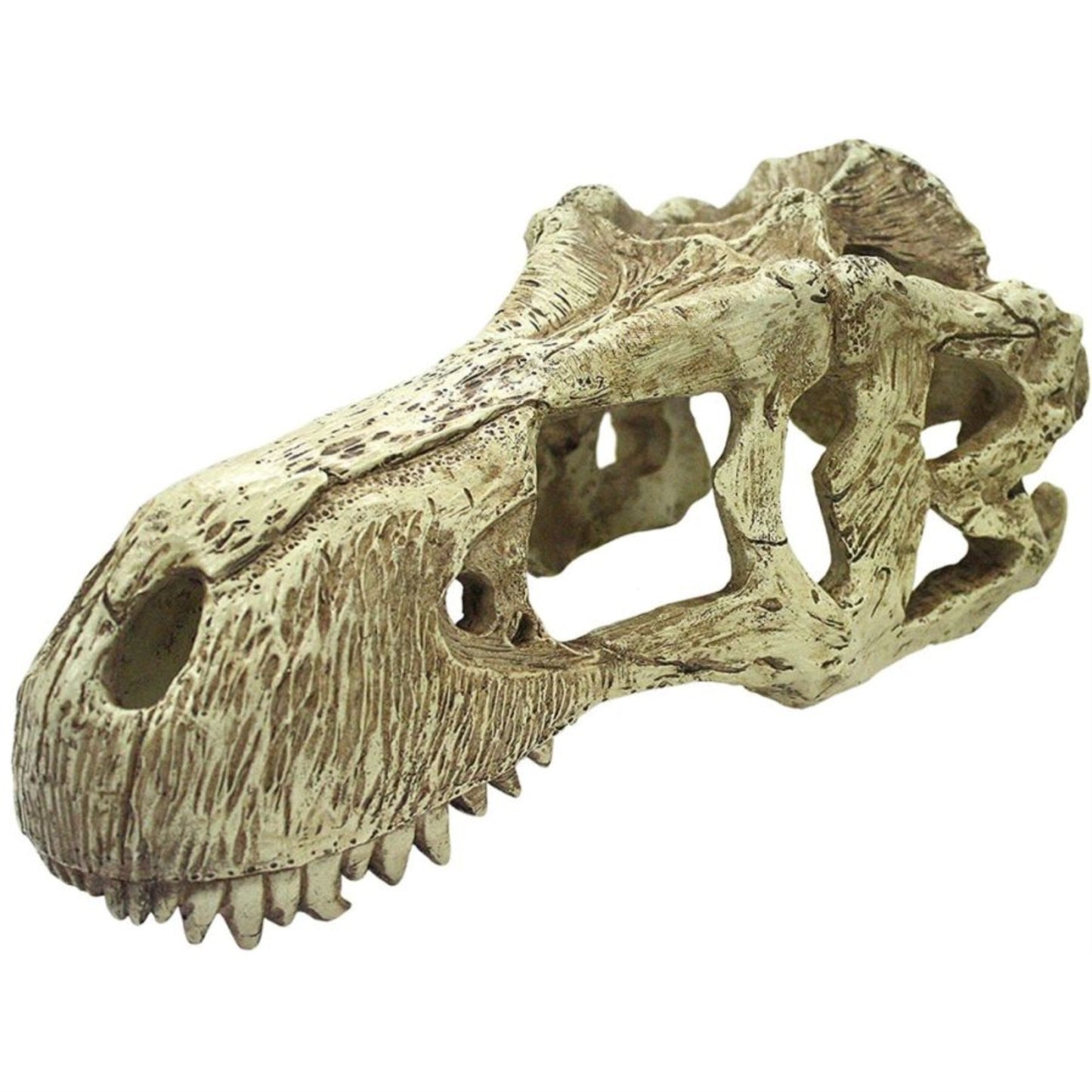 Komodo T-Rex Skull Terrarium Decoration