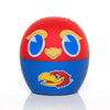 Kansas Jayhawks