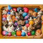 Kittens Galore 1000 Piece Jigsaw Puzzle Springbok