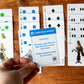 Trailmaster Ski Card Game