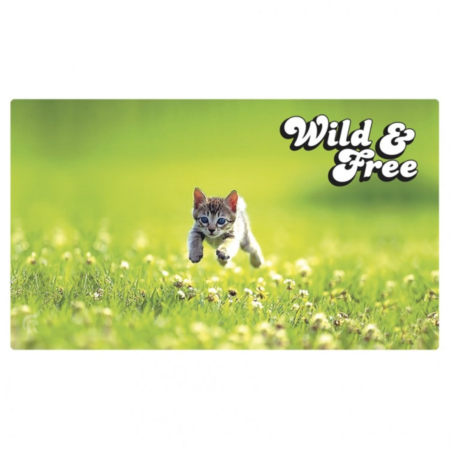 Play Mat: Kitten