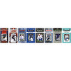 Nhl Tampa Bay Lightning 8 Different Licensed Trading Card Team Sets