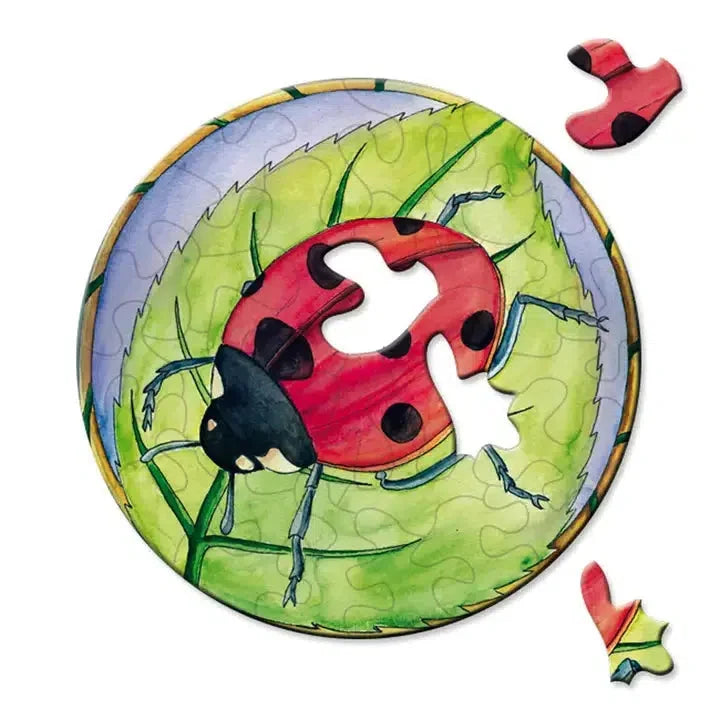 Ladybird 33 Piece Mini Matchbox Jigsaw Puzzle Curiosi