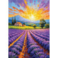 Lavender Sunset 1000 Piece Jigsaw Puzzle Enjoy