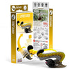 Lyre Bird 3D Cardboard Model Kit Eugy