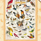 Audubon Songbird 1000 Piece Jigsaw Puzzle