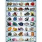Minerals 1000 Piece Jigsaw Puzzle Eurographics