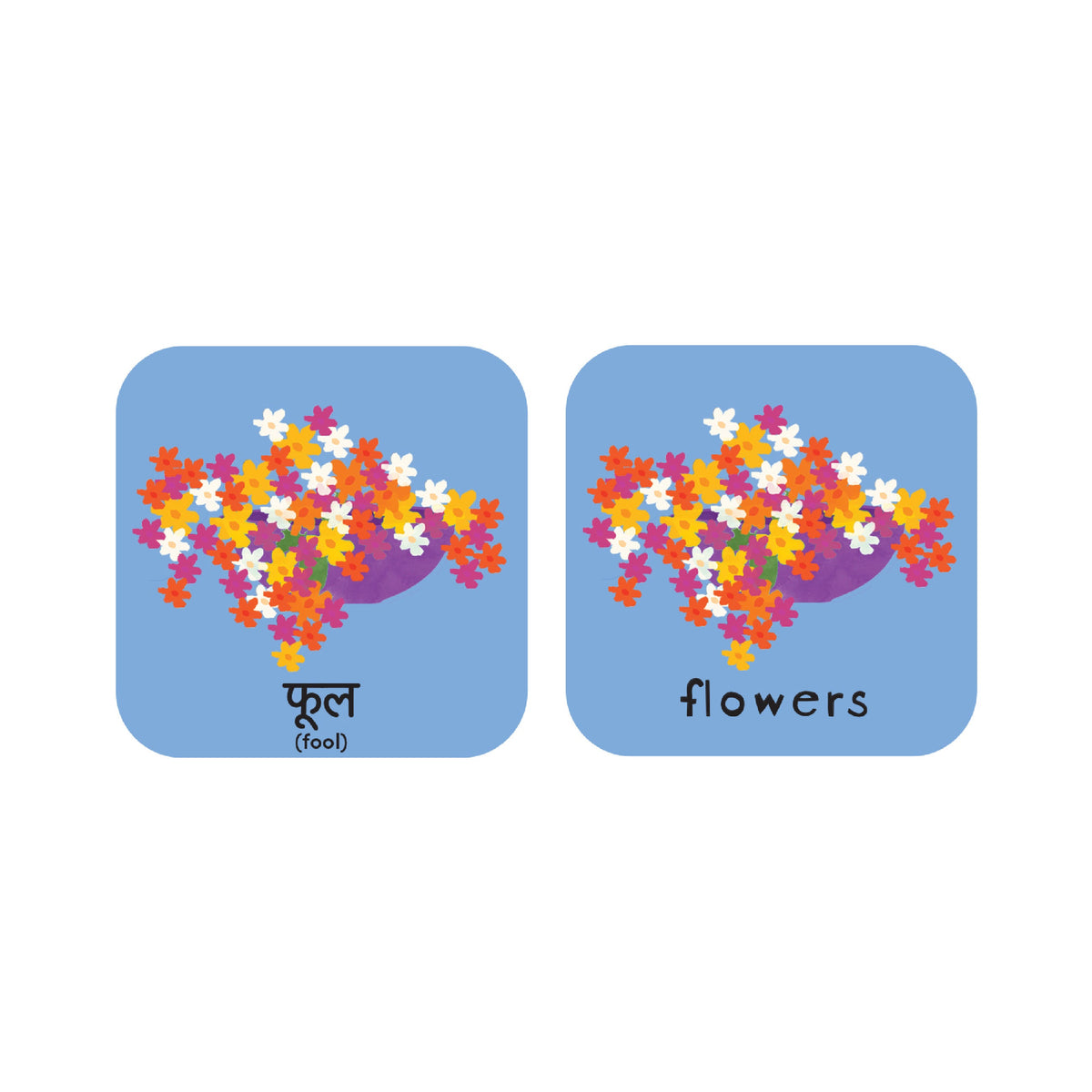 Minilingo, Hindi/English Flashcards