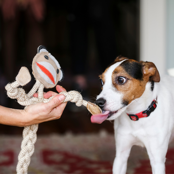 Stuey Sock Monkey Natural Rope Knottie® Dog Toy, Large (9mm rope diameter)