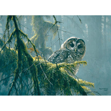Mossy Branches - Spotted Owl 500 Piece Jigsaw Puzzle Cobble Hill