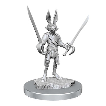D&D Nolzurs Marvelous Unpainted Miniatures | Harengon Rogues
