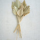 Bundle Of 12 Mini Palm Spears