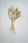 Bundle Of 12 Mini Palm Spears
