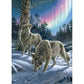 Northern Lights 500 Piece Jigsaw Puzzle Cobble Hill