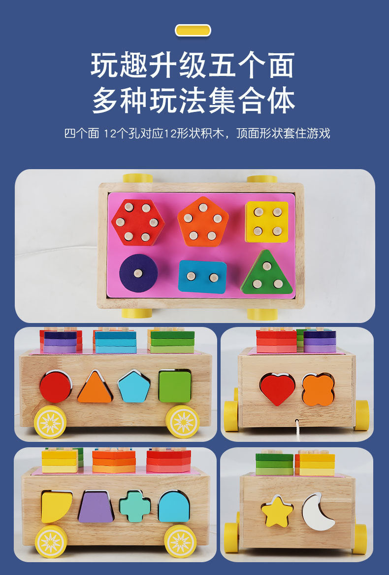 3 Cross-Border Kidsren's Educational Toys Farm Orchard Shape Building Blocks Matching Insect Catching and Carrot Pulling Intelligence Box Toys