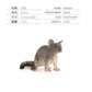 Children's Puzzle Early Education Cognitive Simulation Mouse Model Toy Static Solid Possum Guinea Piga Hair Mouse Totoro