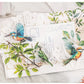 Flowers, Birds, Chirping Leaves, Pet Special-Shaped Sticker Pack, Landscaping Ins Style Bird Handbook Material, Mobile Phone Case Sticker