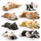 Cross-border Children's Cognitive Simulation Pet Dog Model Sleeping Posture French Bulldog Chai Dog Decorative Ornament Toy