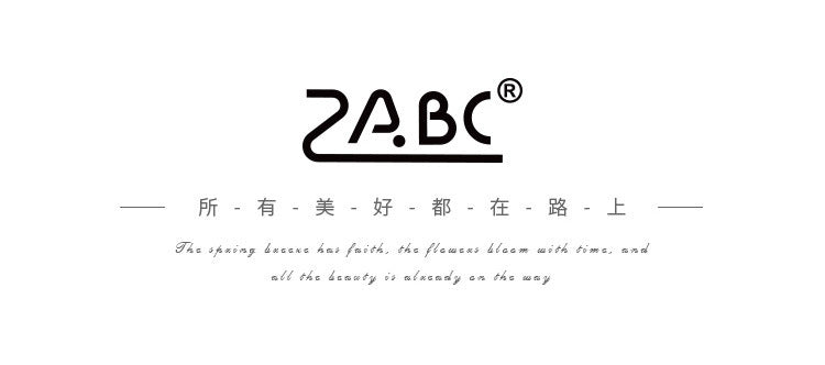 ZABC cross-border die-cut PET sticker book chasing ordinary series 20 characters life hand account collage stickers