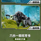 Wonderful Building Blocks 41112 Land Warfare Xiongwei Military Mech Model Super Set Variables Assembled Transporter Small Toys