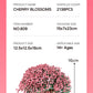 Cross-border TEMU Compatible Lego Sakura Tree House Rainbow Tree Blocks Children's Educational Assembled Toys for Girls Gift