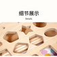 Montessori Classification Early Education Coin Box Baby Color Cognitive Shape Building Blocks Matching Teaching Aids Baby Educational Toys