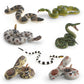Simulation wild reptile model children's cognitive tummy giant coral snake boa trick decoration